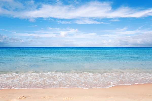 12/04 행사 테스트